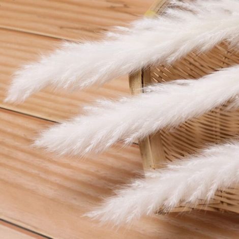 30 pcs Herbe de la Pampa, 58 cm Naturel Pampa Fleur Bouquet de Fleurs Sechees pour Vases, Blanc Boho Decoration Chambre Maison Salon, Mariage Photographier Table Décoration