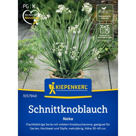Kiepenkerl Saatgut Schnittknoblauch Neko für ca. 100 Pflanzen (1/2)