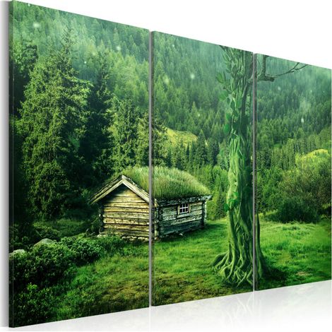 Tableau Imprimé "écosystème Forestier" 60 x 90 cm (1/2)