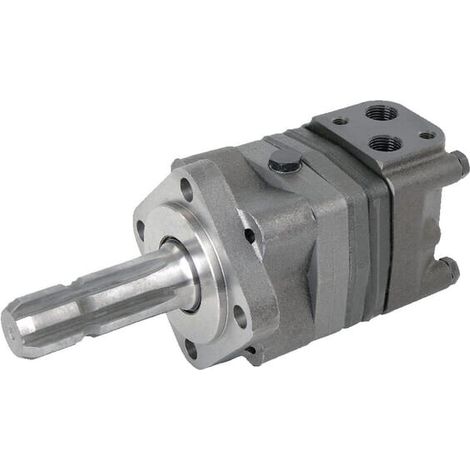 Moteur DANFOSS OMS100151F0561 (1/5)