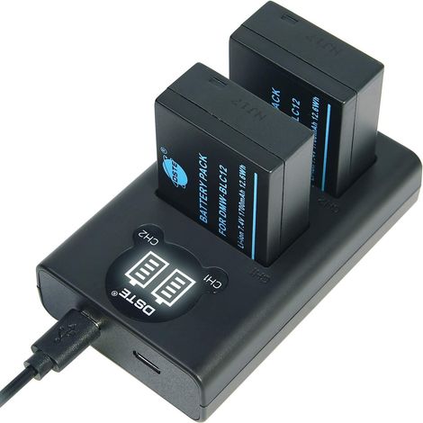 Lot de 2 Batteries DMW-BLC12 DMW-BLC12e + kit de Chargeur Rapide Double USB pour appareils Photo DMC-GH2 DMC-FZ330 DMC-FZ200 DMC-FZ200GK DMC-FZ1000 V-LUX4 Q comme (1/5)