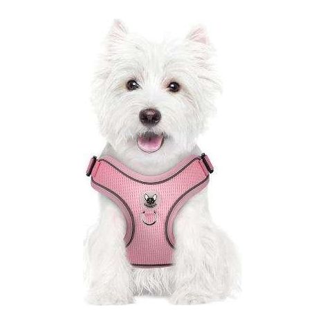 Hundegeschirr mit Leine zum Spazierengehen, reflektierend, verstellbar, weich, Größe M, Rosa