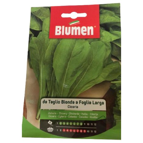 Semi cicoria da taglio bionda a foglia larga Blumen