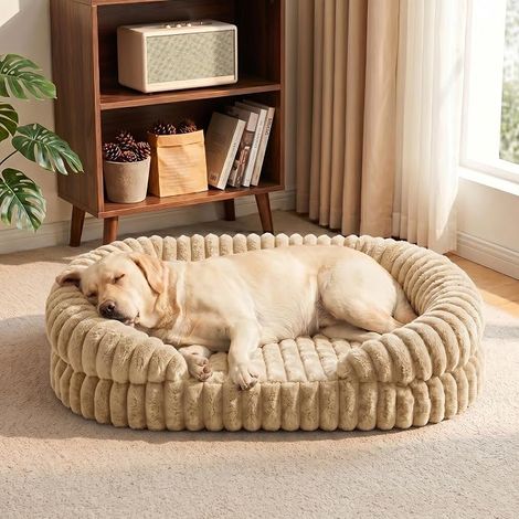 Panier Chien Orthopédique Grande Taille Lavable 115x85cm (1/5)