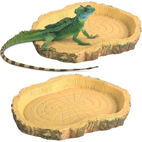 2-teiliges Reptilien-Wasserset – Schildkröten-Wassernapf – Reptilien-Futternapf (mit Blättern gefüllt) (1/4)