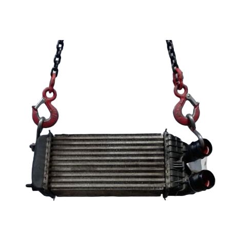 [PRODUIT D'OCCASION] Echangeur Air PEUGEOT 208 ♻️ Ref Oe. 9803900780 - Garantie à vie (1/3)