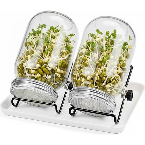 Kit per vasetti per la germinazione, 2 vasetti con supporto e vassoio