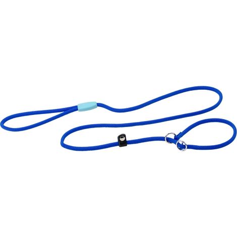 Laisse et Collier pour Chien, Laisse avec Collier Demi-étrangleur Ajustable, en Corde de Nylon, Poignée pour Un Contrôle Sûr, Longueur 160 cm, Bleu (1/5)