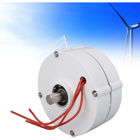 Générateur synchrone triphasé à aimant permanent 24 V à double arbre pour usage domestique, 100 W