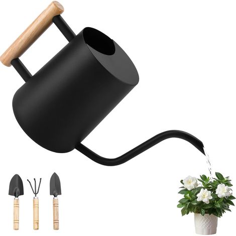 1 Arrosoir Acier Inoxydable,Bec Long 18cm,Poignée Bois,Capacité 1L,Jardin Intérieur