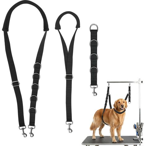 Hundepflegehalsband für Pflege und Reinigung – Verstellbares Halsband – Schwarz (1/5)