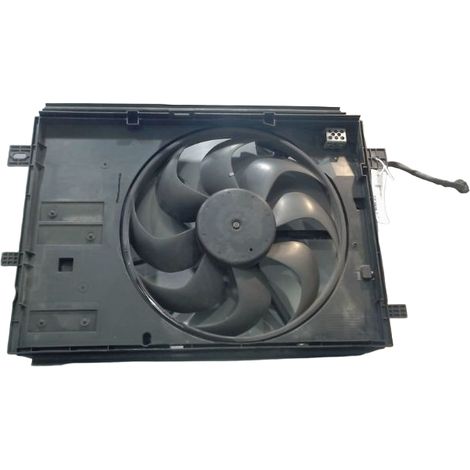 Moteur Ventilateur Radiateur CITROEN C4 [PRODUIT D'OCCASION]♻️9836636780 (1/3)