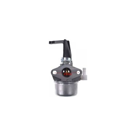 696065 Carburateur de remplacement avec jeu de joints pour