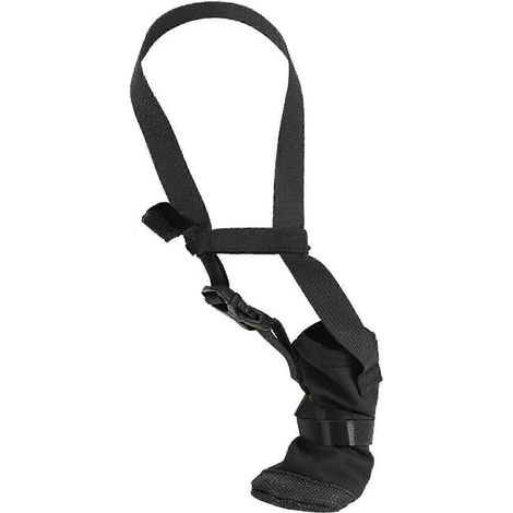 Protection imperméable pour pattes avant de chien, botte de protection et de guérison pour pattes blessées, confortable pour la récupération des animaux, taille XL, référence 0809 (1/5)
