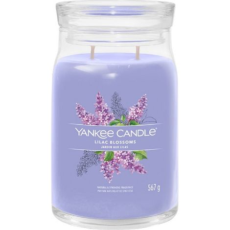 CANDELA GIARA GRANDE SIGNATURE LILAC BLOSSOMS (1/4)