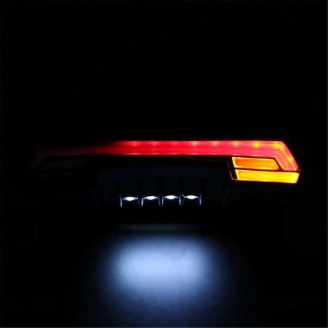 Support de plaque d'immatriculation de moto, feu arrière et clignotants noirs (1/5)
