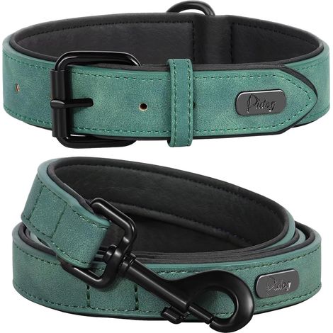 Ensemble collier et laisse en cuir souple rembourré pour chien, ensemble réglable avec boucle en métal, colliers respirants pour animaux de compagnie avec laisse en PU de 1,2 m pour chiens de
