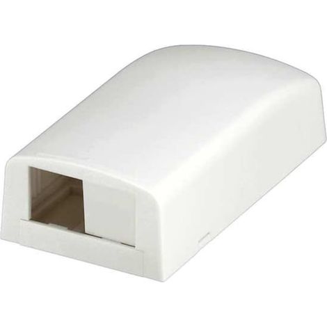 PANDUIT CBX2WH-AY BOÎTIER DE MONTAGE EN SAILLIE À 2 PORTS POUR LD3/LDP3/LD5/LDP5, BLANC