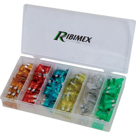 ASSORTIMENTO FUSIBILI 120 pezzi  - RIBIMEX