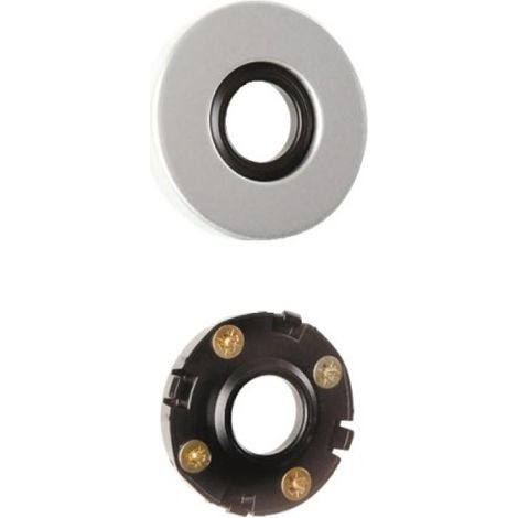 Jeu de rosace 6600 type Clé I finition argent VACHETTE 12590