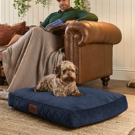 Paws for Slumber Padded Pet Bed, Blue, Medium