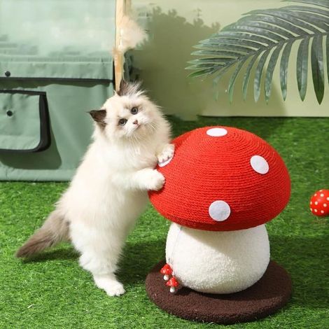 Arbre à chat en forme de champignon - arbre à chat mignon - arbre à chat en corde de sisal durable - arbre à chat spécialement conçu pour les chatons (1/5)