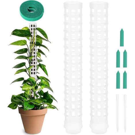 Tuteur Monstera, 2pcs Poteau de Plante grimpante en Pot, Tuteur Plante Grimpante, Tuteurs pour Plantes Grimpantes, Poteau Tuteur Plante en Pot, Tuteur pour Plantes Grimpantes pour Plantes (1/5)