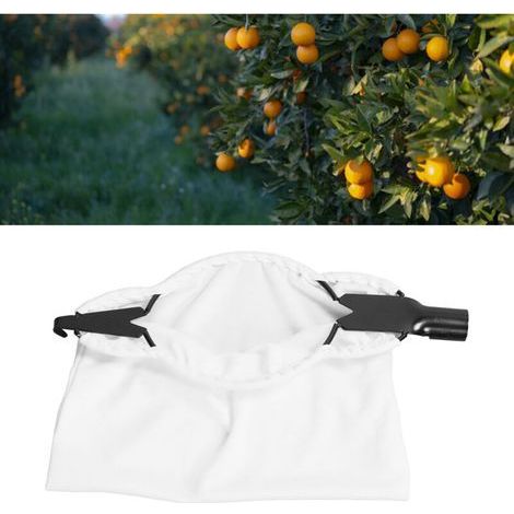 Découpeur de Fruits à Long Manche Extensible pour Récolte en Hauteur - KZQ (1/5)