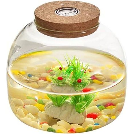 Terrario in vetro da 1600 ml con coperchio in sughero: ampio contenitore aperto ideale per mini piante grasse, composizioni floreali e collezioni artigianali.