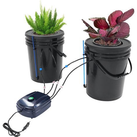 Kit hydroponique DWC à 2 seaux de 19 L, système de culture hydroponique en eau profondeur avec pompe à air 12W, pour plantes d’intérieur et légumes (1/5)