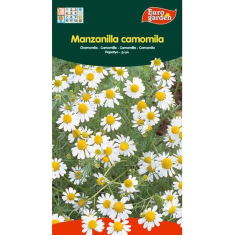 SEMILLAS FITO AROMATICAS MANZANILLA (CAMOMILA)=00648