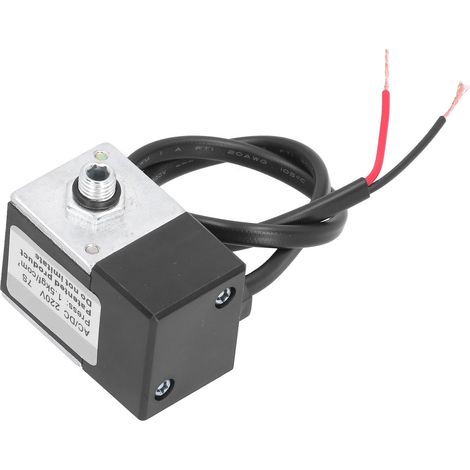 Accessoires pour compresseur d'air électrique en laiton avec électrovanne temporisée, pompe AC/DC 220 V (1/5)