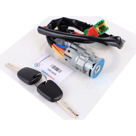 Clés de contact Citroën C2 C3 1.1 1.4 1.6 8V 16V HDI 4162AG 4162AH (1/5)
