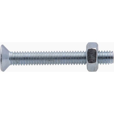 Zinkschraube mit senkbarem Kopf PZ Kreuzschlitz Viswood Ø 4x30 mm (Packung mit 12 Schrauben + Mutter) (1/5)