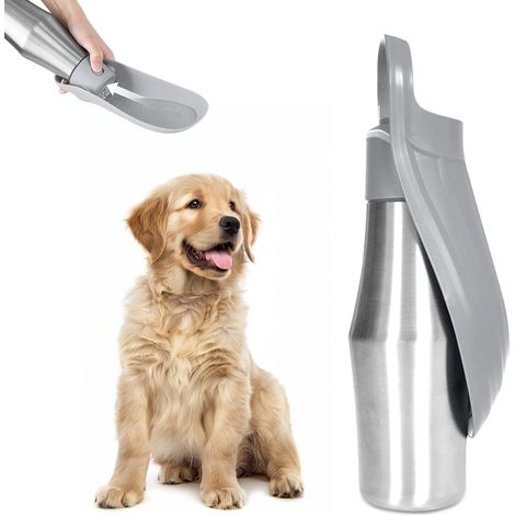 Gourde Chien - 1 Unité - Acier Inoxydable - Anti-Fuite 750ml - Randonnée Voyage - Argent (1/5)