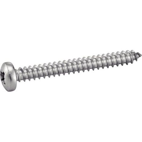 Vis autoperceuse tôle ACTON 3,5x13 mm Inox A2 Tête cylindrique large Pozidriv (1/4)
