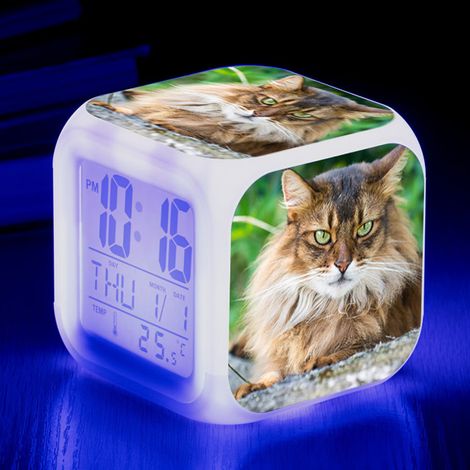 Digitaler Wecker mit niedlichen Katzenmotiven (C), Alarm mit bunten Lichtern C
