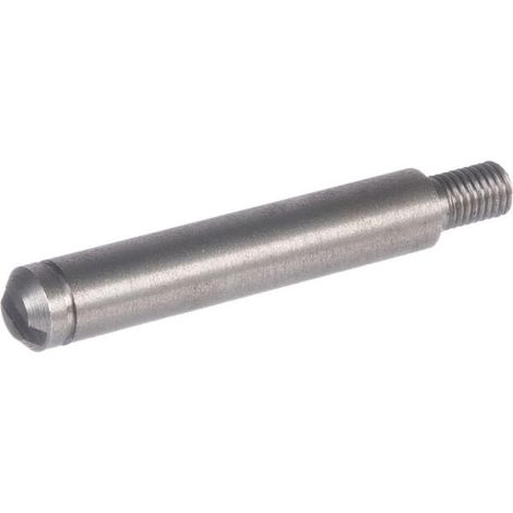 Lagerbolzen VF06581596N