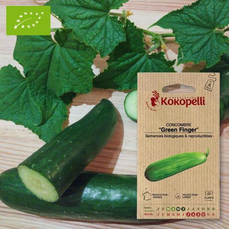 Concombre Green Finger