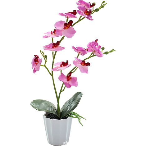Fleur Artificielle Phalaenopsis - Bonsaï Décoratif Bureau Intérieur - Plante Verte Simulée Sans Entretien - 1 Pièce