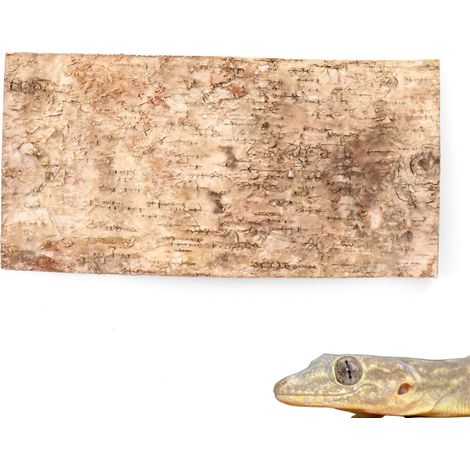 BioBirch Bark sfondo in corteccia di betulla pressata 40x20cm (1/5)