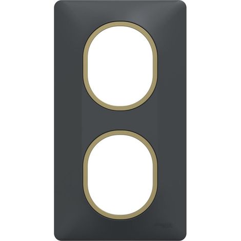 Plaque de finition 2 postes - Vertical - Ovalis - S340724E - Schneider - Anthracite bague laiton
