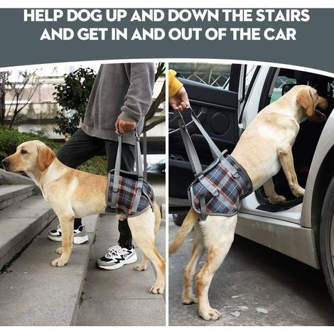 Harnais de soutien pour chien – Taille M – Sangle de levage réglable – Polyester – Aide à la marche pour chiens âgés