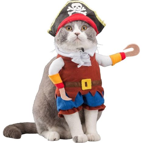 Déguisement d'Halloween pour chiens et chats, idéal pour les promenades, convient aux chiens de petite et grande taille. Taille M. (1/4)