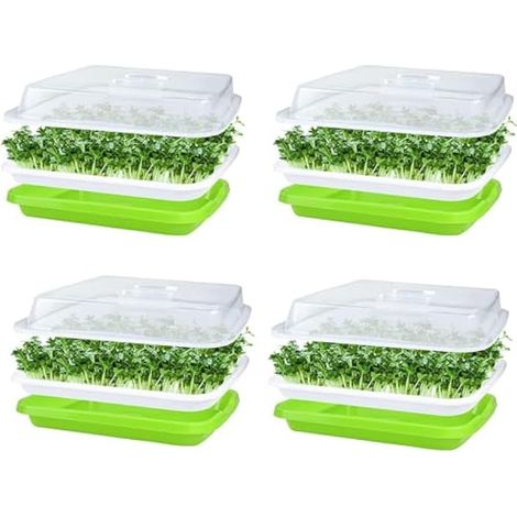 4 lots de plateaux de germination avec couvercle, 32 x 26 cm, grande capacité, sans BPA, propagateur hydroponique sain avec 24 papiers de plantation pour faire pousser haricots mungo, luzerne, blé
