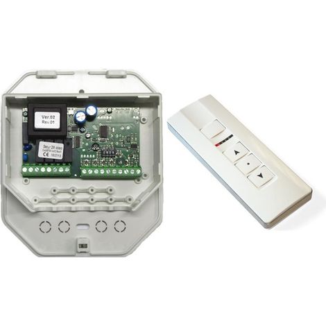Centrale Di Comando 2 Motori Per Tenda Sole Con Telecomando ALMOT 818W 08880818W