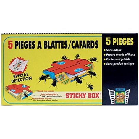 Trappole per scarafaggi e scarafaggi, set di 5