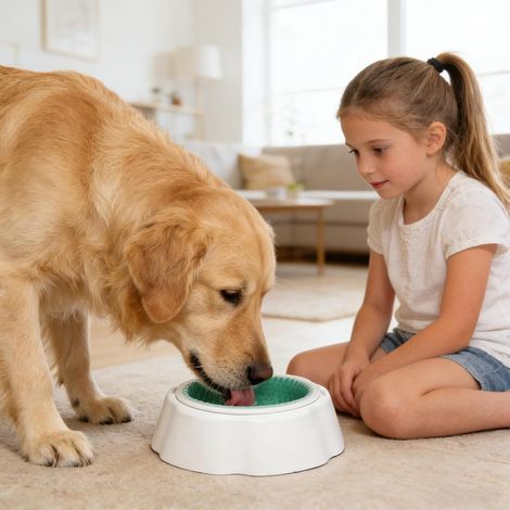 Gamelle multifonction anti-éclaboussures pour chiens et chats  gamelle rafraîchissante  gamelle d'eau au design moderne  adaptée à une utilisation en intérieur comme en extérieur. Verte. (1/5)