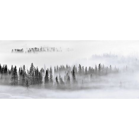 Poster Thème Foggy Morning - 360 x 270 cm (1/3)