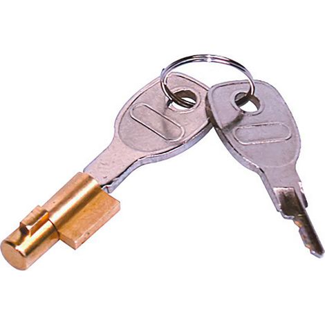 BARILLET POUR TETE D'ATTELAGE REF 31041 ET 242411 (1/2)
